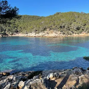 Apartment Rez-de-villa Proche De La - Temana, Saint-Cyr-sur-Mer